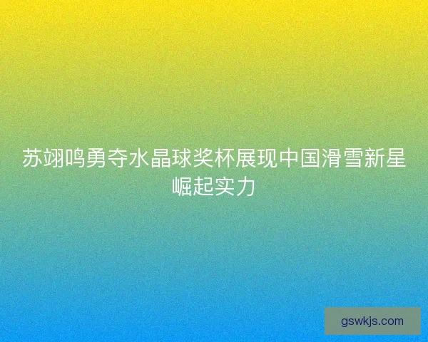 苏翊鸣勇夺水晶球奖杯展现中国滑雪新星崛起实力